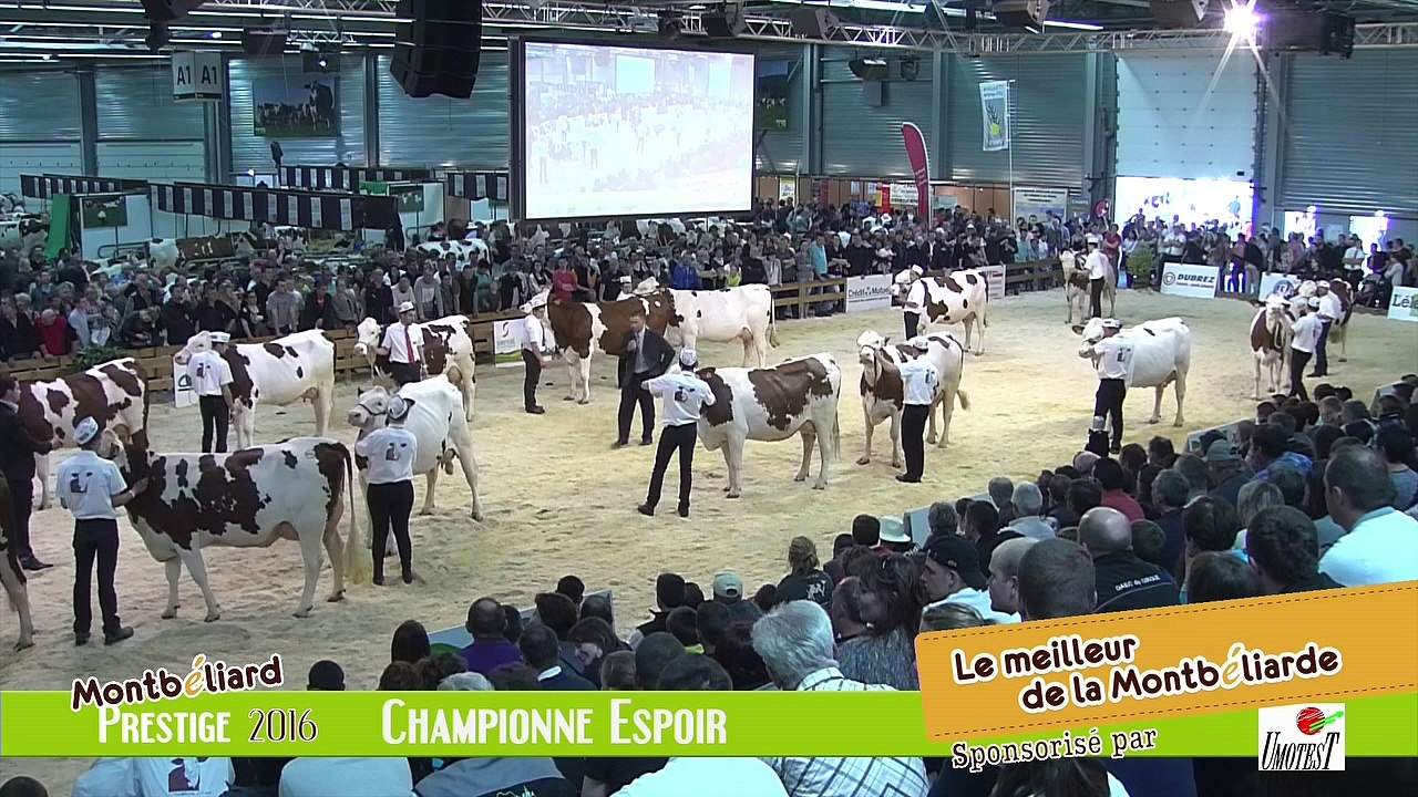 Championne Espoir Montbeliarde Prestige 2016