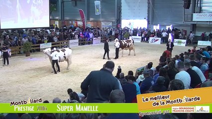 Super Mamelle Montbeliarde Prestige 2016