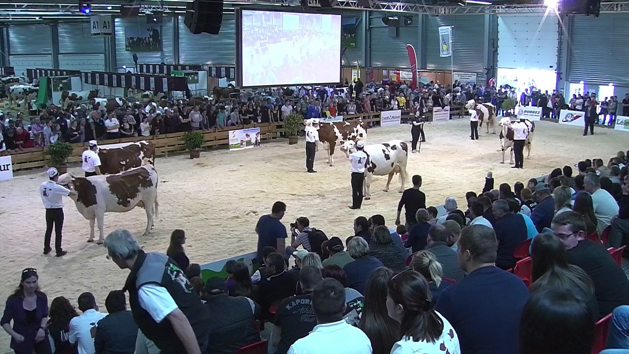 Grande Championne Montbeliarde Prestige 2016