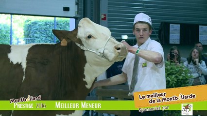 Meilleur Meneur Montbeliarde Prestige 2016
