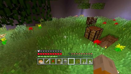 Minecraft Xbox - Randoms Adventure Map - 2