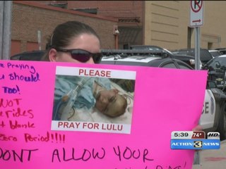 Family wants answers after carnival ride critically injures 11-year-old