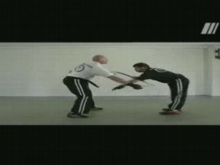 Cane Defence Jacques LEVINET (CDJL)