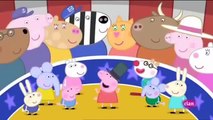 Peppa Pig en Español Videos Nuevos Ultima Temporada Peppa's Circus
