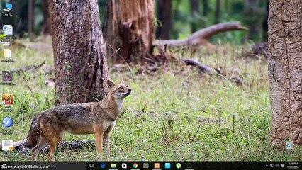 How to install laravel 5.2  (xamp) in windows -- very easy