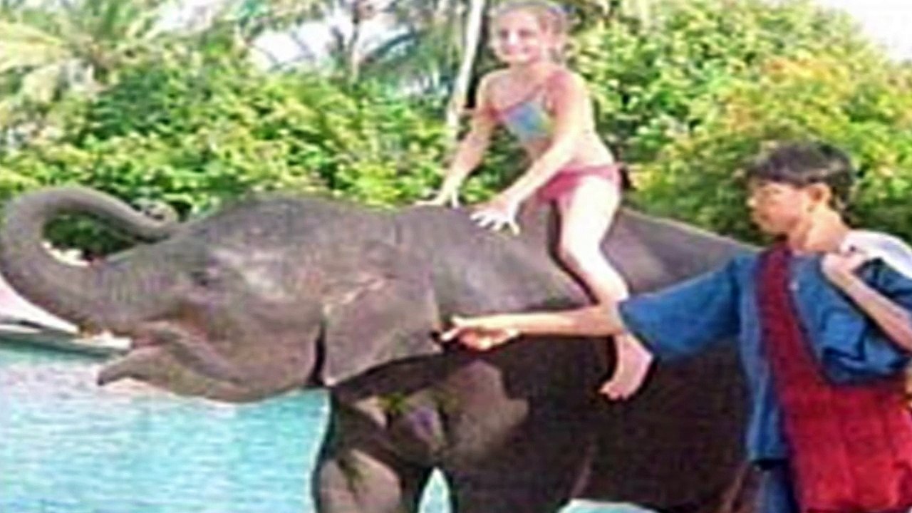 Unbelievable Animals That Saved Peoples Lives