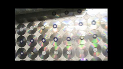 More Fun In Michigan Part 2