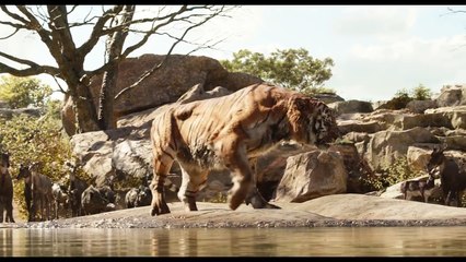 Download Video: Disneys THE JUNGLE BOOK Shere Khan Movie Clip (2016)