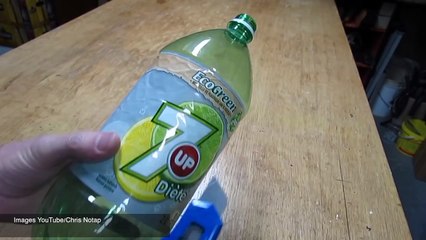 Comment se débarrasser d'une souris sans la tuer ?