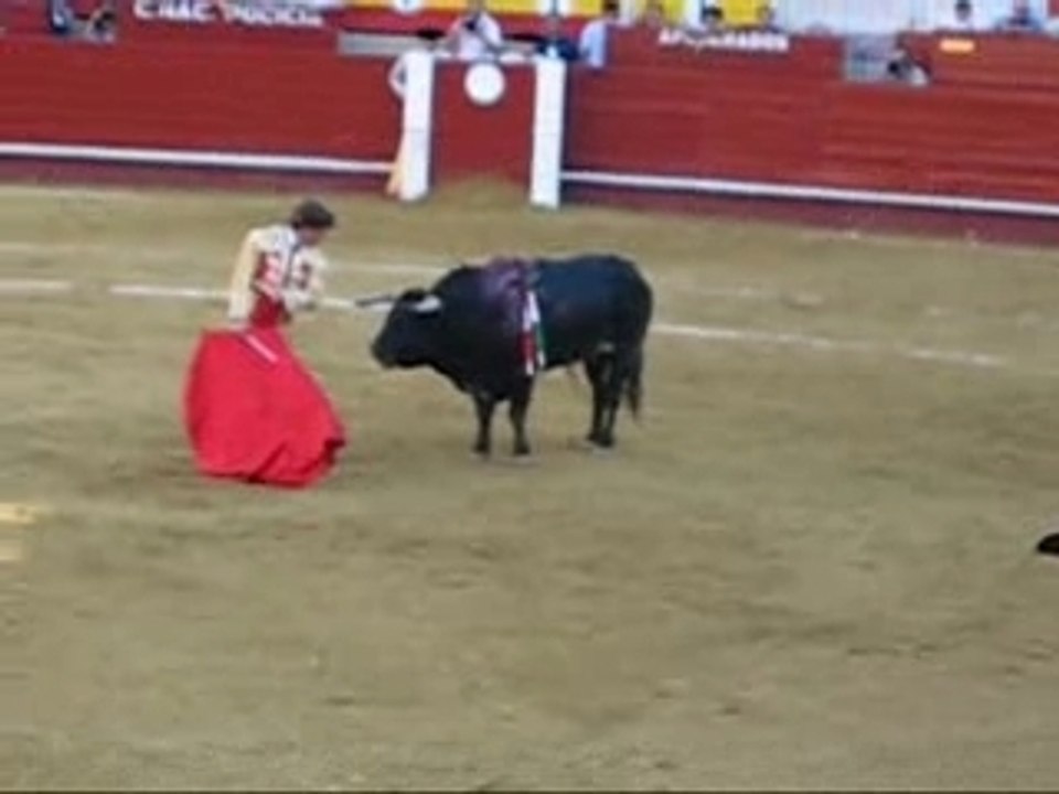 El juli corrida