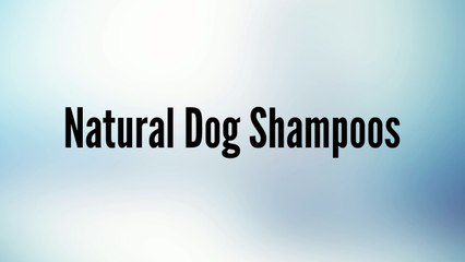Natural Dog Shampoos