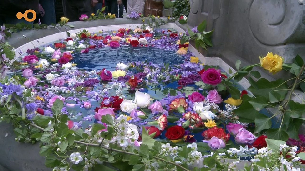 Sans commentaire: La fête du Feuillu à Onex