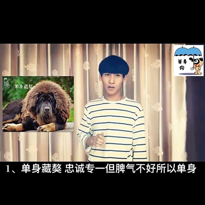 【蘇小航】這就是你為什麼要單身