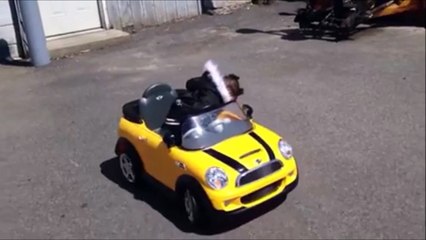 Une semaine difficile pour cette fillette très fatiguée