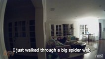 Quand papa est aussi une flippette face à une araignée. Réaction hilarante