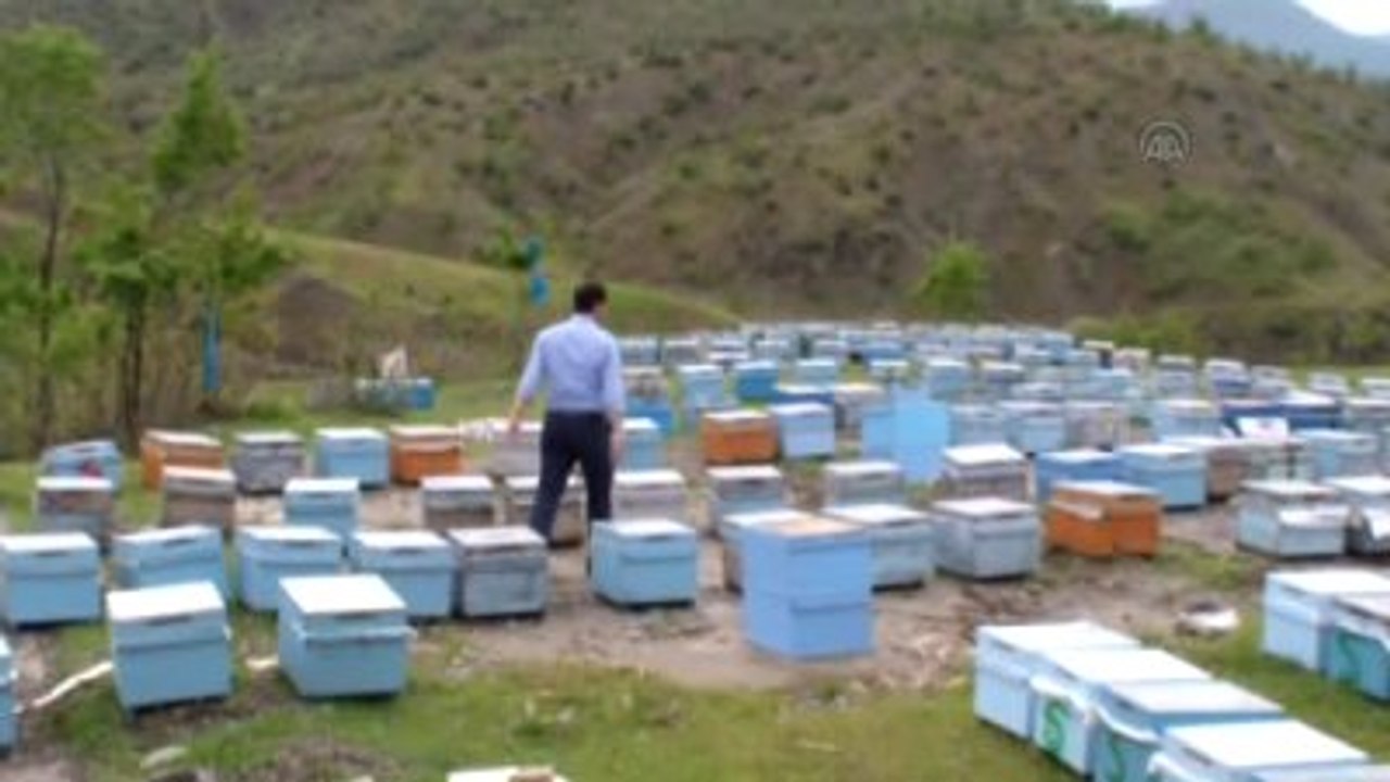 Bal Üreticilerinin "Arı Kuşu" Mesaisi