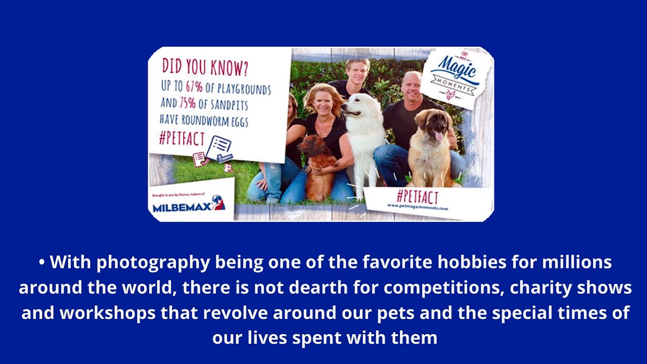 The Pleasure of Sharing Your Pet Moment