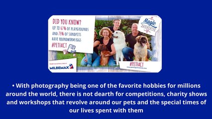 The Pleasure of Sharing Your Pet Moment