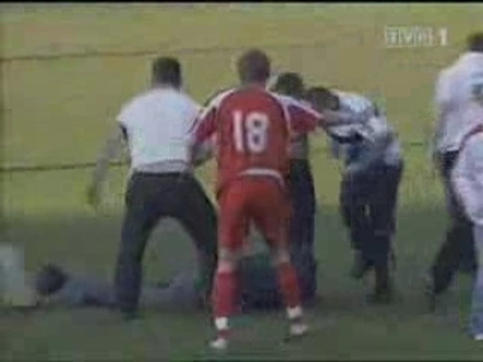 Polish Hooligans fight