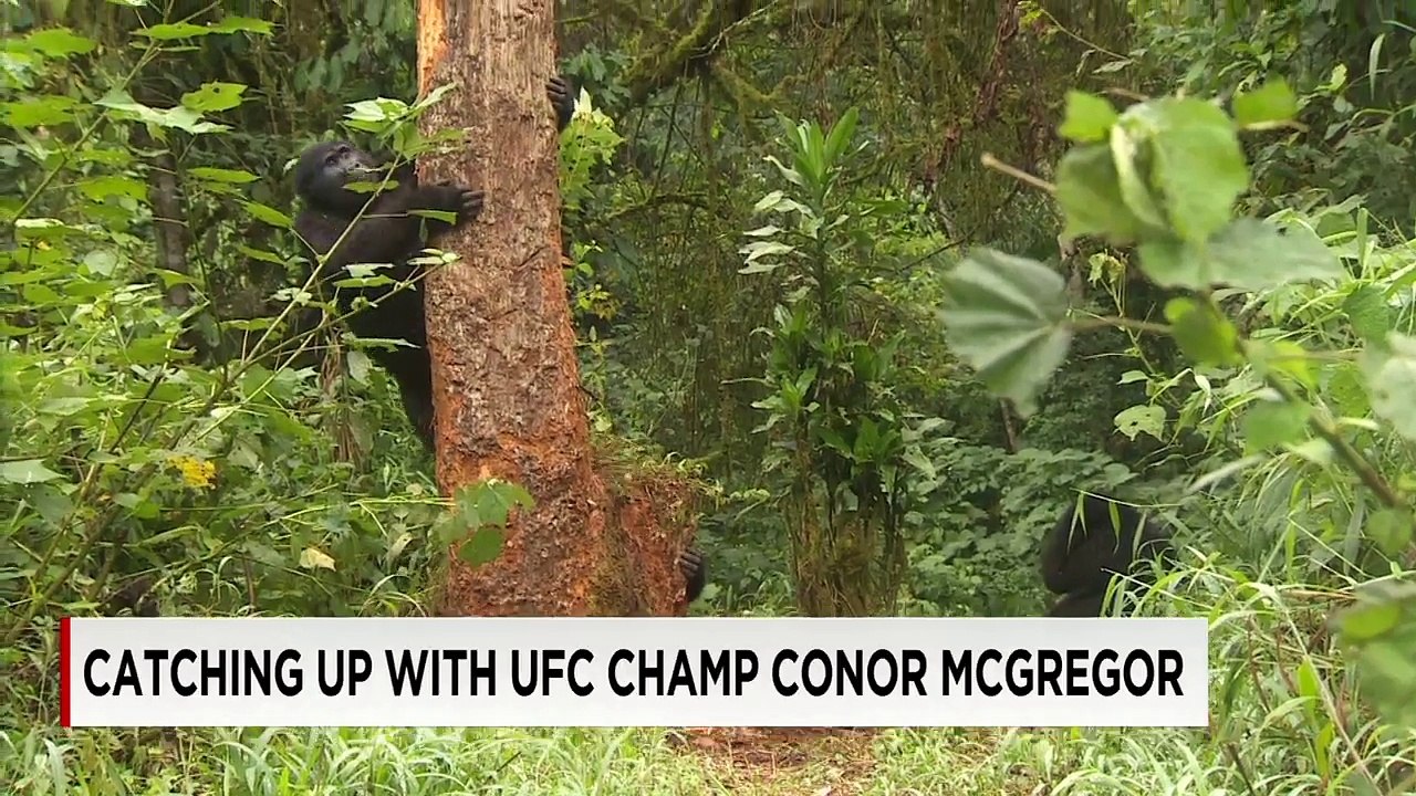 UFC champ Conor McGregor speaks with CNN