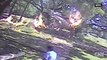 Plane crashes into tree, bursts into flames