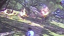 Plane crashes into tree, bursts into flames