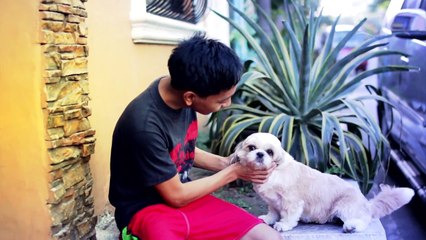 Connecting with Your Dog