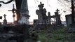 Graves In a Very Old Cemetery - Stock Footage | VideoHive 15411038