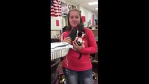 Students surprise teacher with kittens after her cat passed away a day before