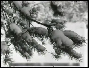 Испытания ЗИЛ-167