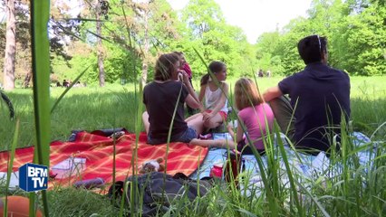 La maladie de Lyme, une menace plus grande qu'elle n'y paraît