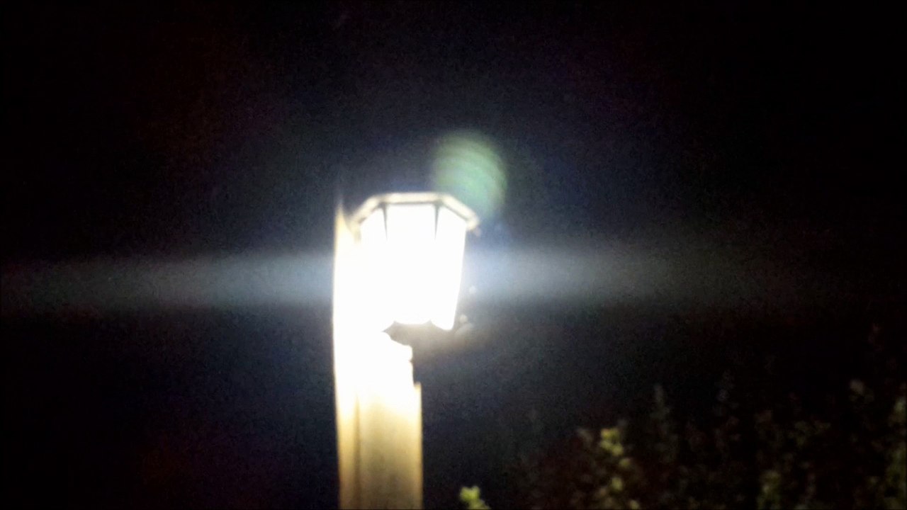 Piégés - Insectes et pollution lumineuse