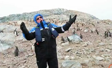 Penguins Hilarious Reaction To Opera Singer