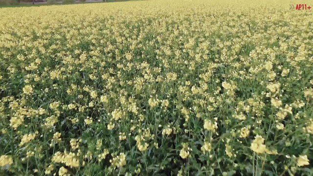 Imágenes tomadas por dron | Dron fly images