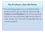 Why WordPress is a Best CMS Platform