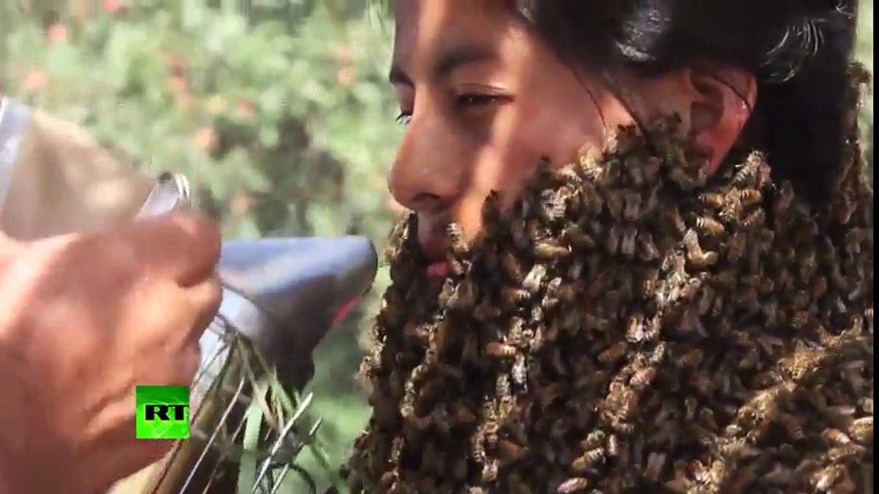 Beard from Bees