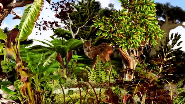 Wiederaufbau und Waldschutz in Nepal | Global 3000