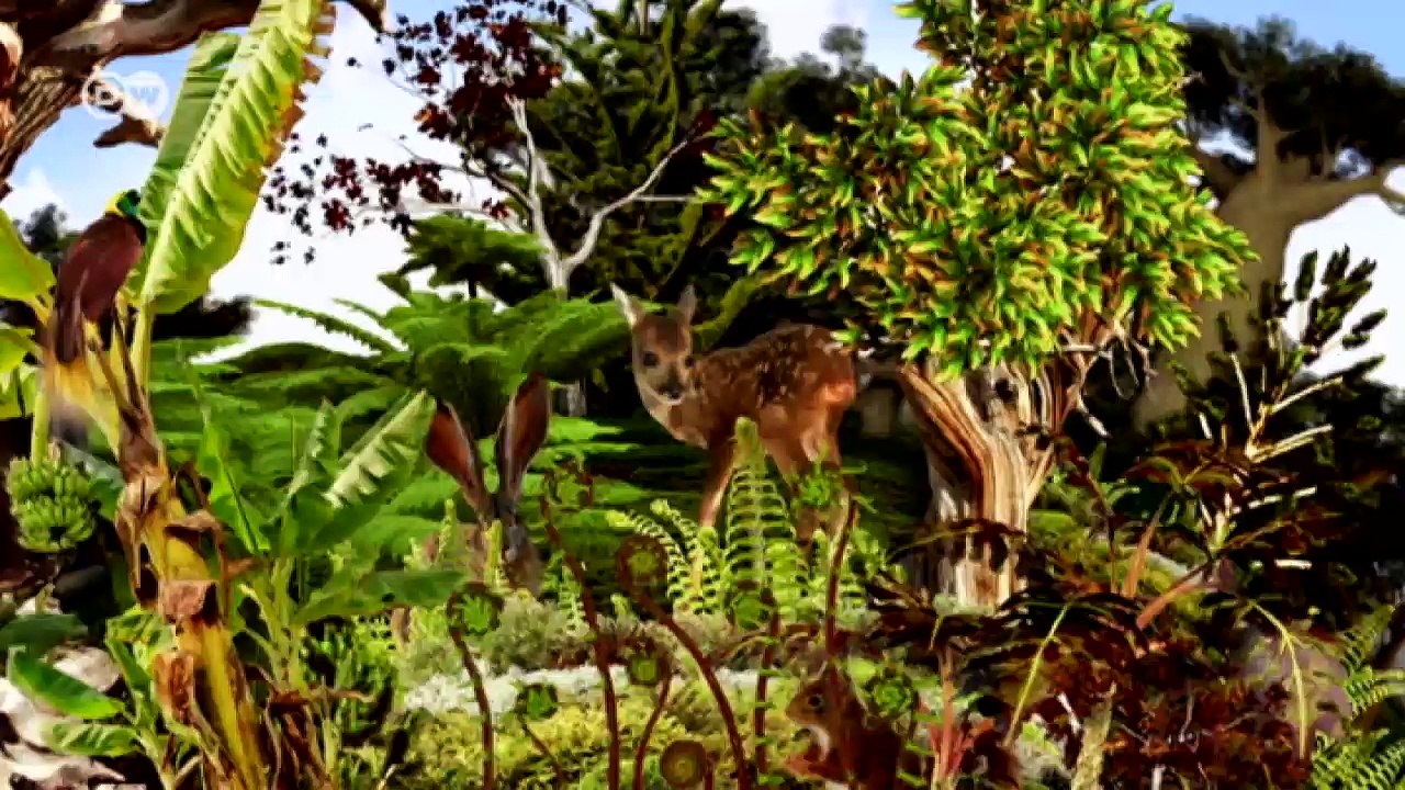 Wiederaufbau und Waldschutz in Nepal | Global 3000