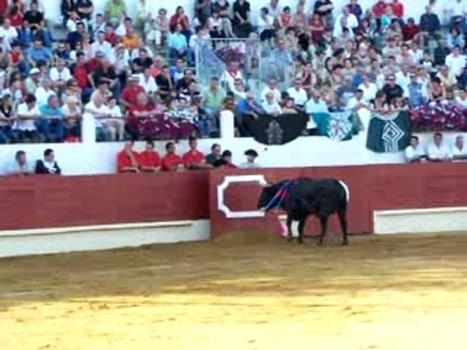 Fêtes de la Saint-Jean - Saint-Sever 2007