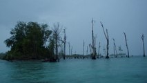 Why some of the Solomon Islands have disappeared