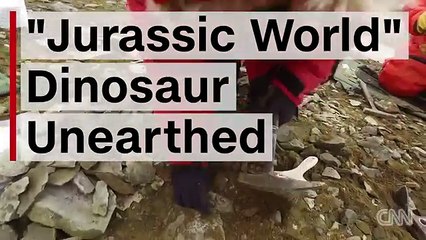 'Jurassic World' dinosaur unearthed