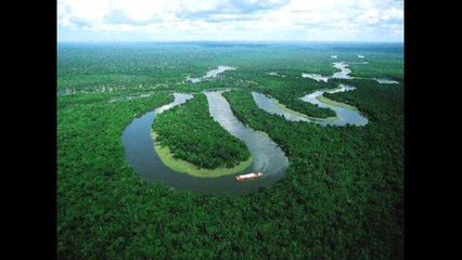 Peru News: US university to establish research and conservation center for Peru Amazon