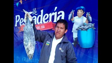 Peru News: 8 tons of fish sold in less than five hours at Cusco fish fair