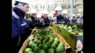Peru News: Peru set to be one of the largest fruit and vegetable producers in the world