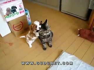 Allah Cezan Vermesin (Tatllga Bak)