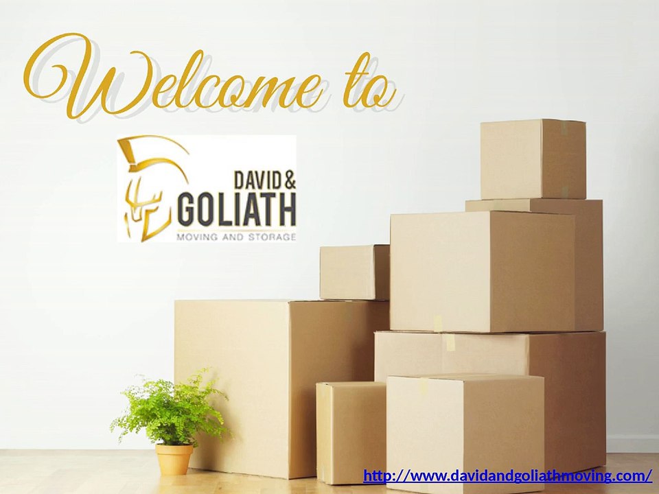 East Coast Movers -davidandgoliathmoving