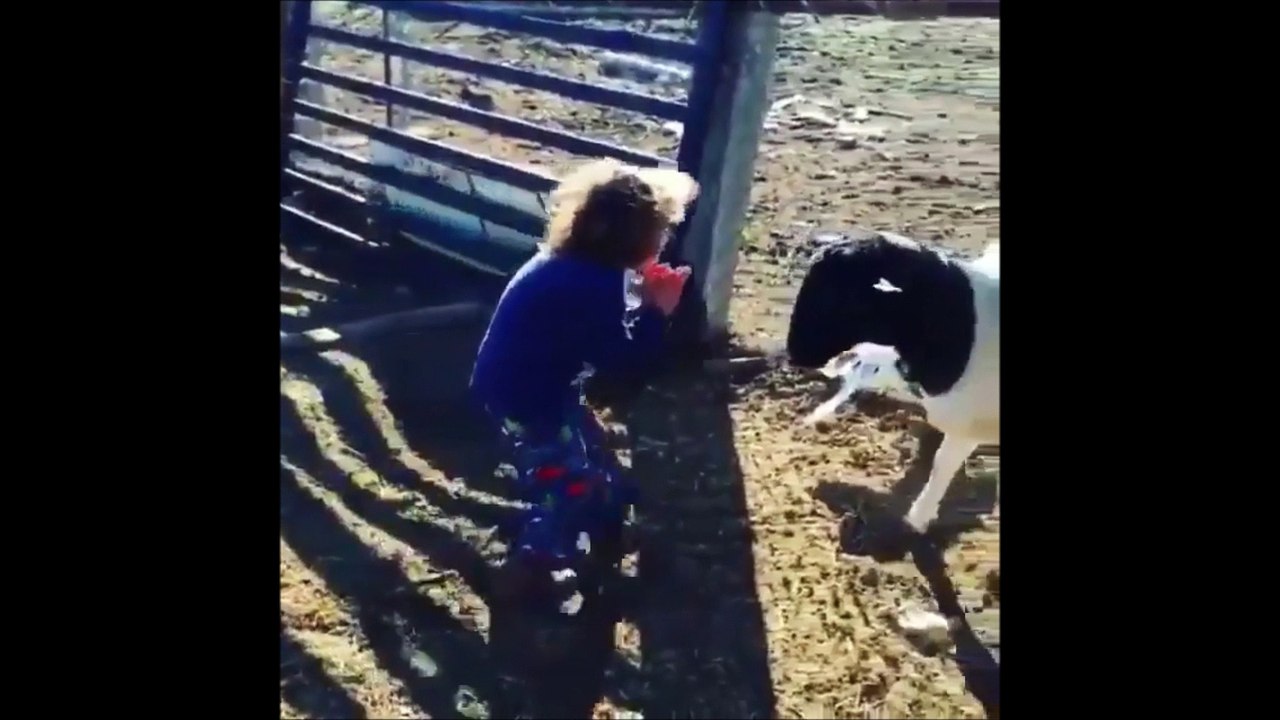 Compilation Vidéos Insolites - #3