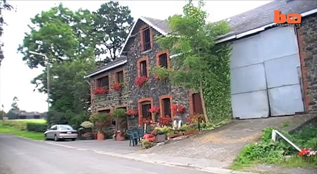 The Cow With 2 Heads