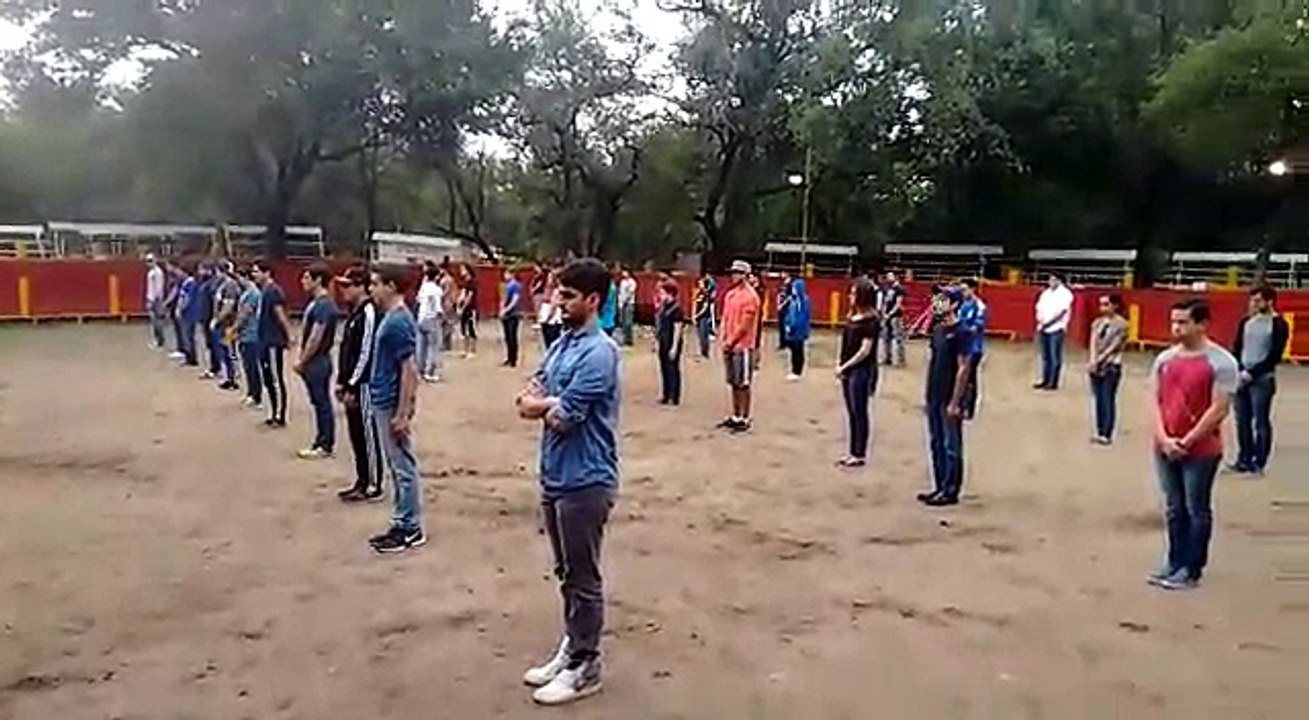 Taureau dans une arène vs Etudiants immobiles