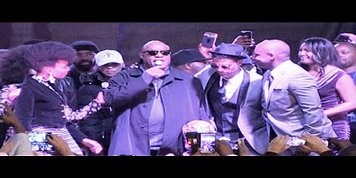 Stevie Wonder Rocks L.A. City Hall with 'Purple Rain'